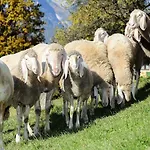 Appartamento Bio-bauernhof Einberghof *