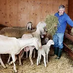 Bio-bauernhof Einberghof Pfarrwerfen