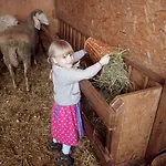 Bio-bauernhof Einberghof *