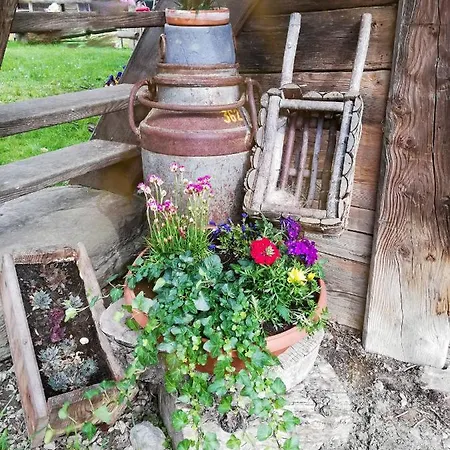 Bio-bauernhof Einberghof פפארוורפן