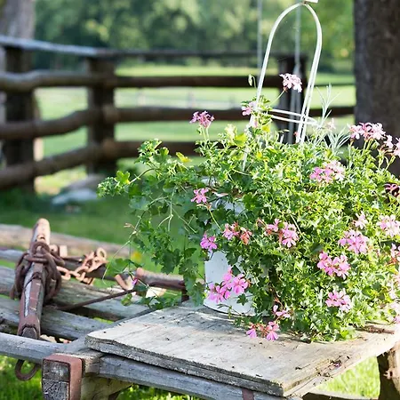 Bio-bauernhof Einberghof Pfarrwerfen