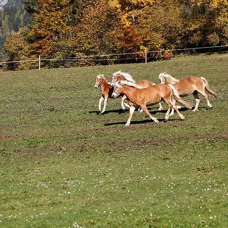 Bio-bauernhof Einberghof דירה *