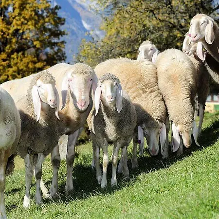 Appartamento Bio-bauernhof Einberghof *