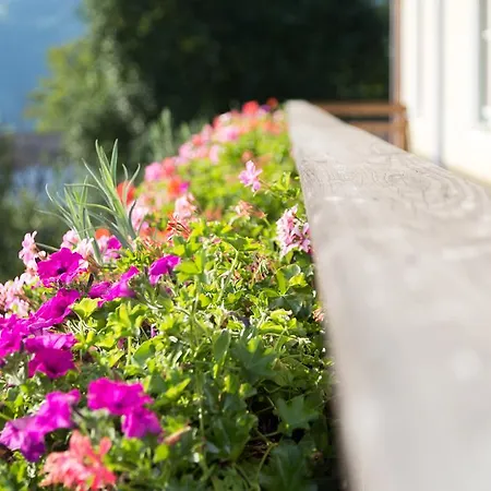 Bio-bauernhof Einberghof * Pfarrwerfen