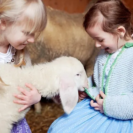 Bio-bauernhof Einberghof * Pfarrwerfen