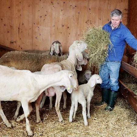 Bio-bauernhof Einberghof Pfarrwerfen