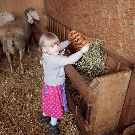 Bio-bauernhof Einberghof *