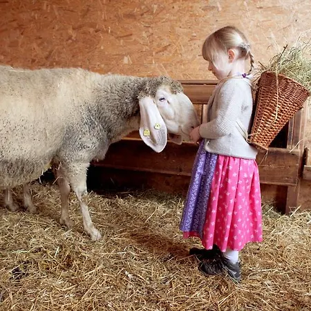 Appartamento Bio-bauernhof Einberghof Pfarrwerfen