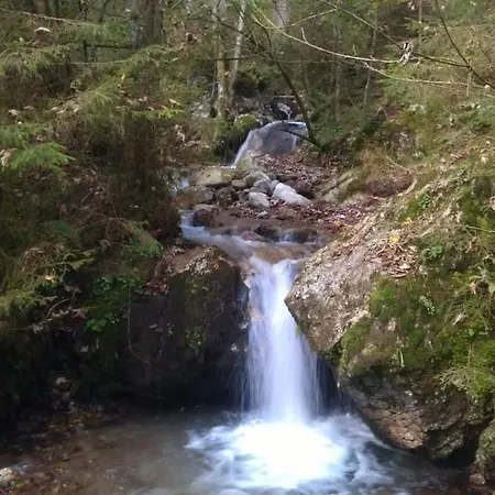 Bio-bauernhof Einberghof Pfarrwerfen