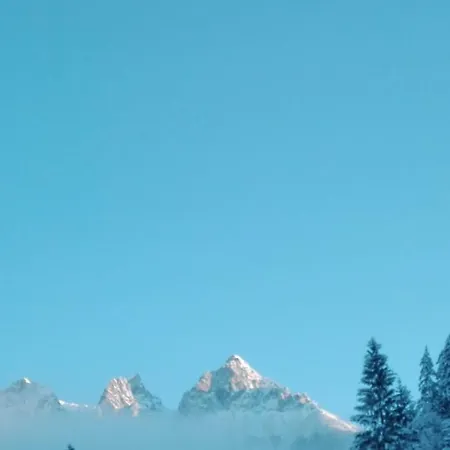 Bio-bauernhof Einberghof Pfarrwerfen